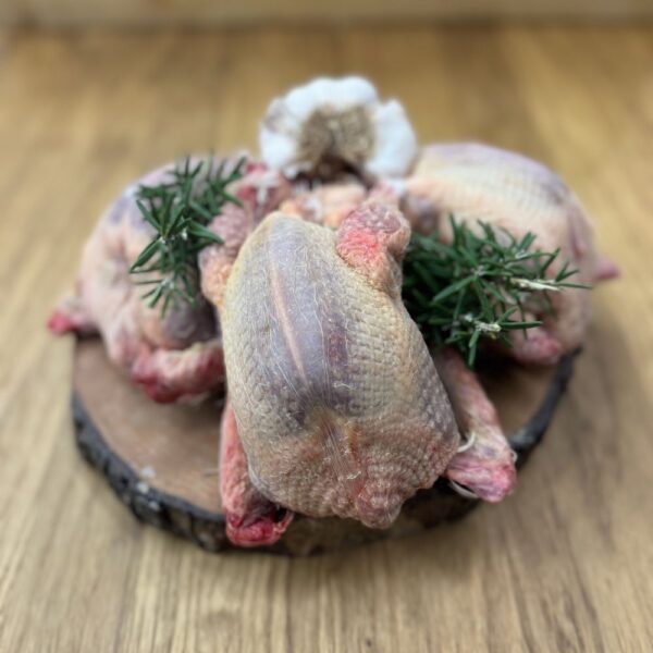 Piccione toscano | Macelleria Carni Magiche | Firenze - Mercato di Sant'Ambrogio