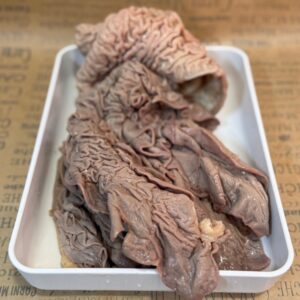 Lampredotto | Macelleria Carni Magiche | Firenze - Mercato di Sant'Ambrogio